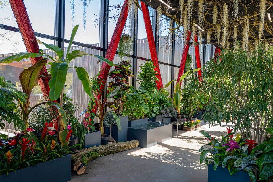 Łódź. Nowa motylarnia w Orientarium Zoo Łódź już otwarta! Największe takie miejsce w Polsce