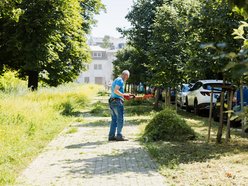 Łódź. Prace pielęgnacyjne w parku przy Leczniczej w Łodzi. Będzie ładniej i wygodniej!
