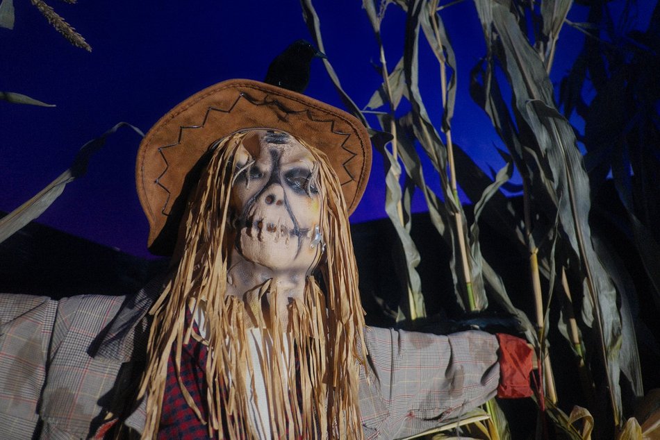 Łódź. Straszny Cyrk w Manufakturze w Łodzi. Wchodzisz tam na własną odpowiedzialność!