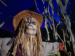 Łódź. Straszny Cyrk w Manufakturze w Łodzi. Wchodzisz tam na własną odpowiedzialność!