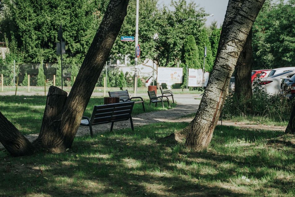 Łódź. Zielony zakątek na Radogoszczu w Łodzi. Odnowione chodniki, nowe alejki, ławki, kosze i latarnie