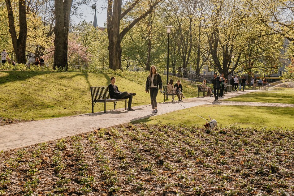 Park Staromiejski w Łodzi - wiosna, zieleń