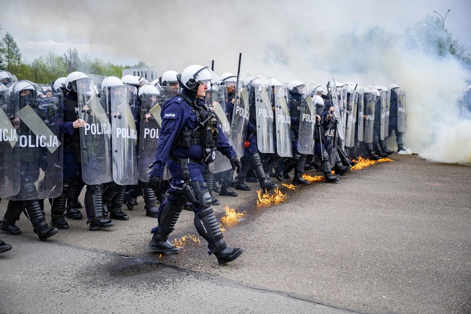 Łódź. Zwierzęta Straży Miejskiej na szkoleniu