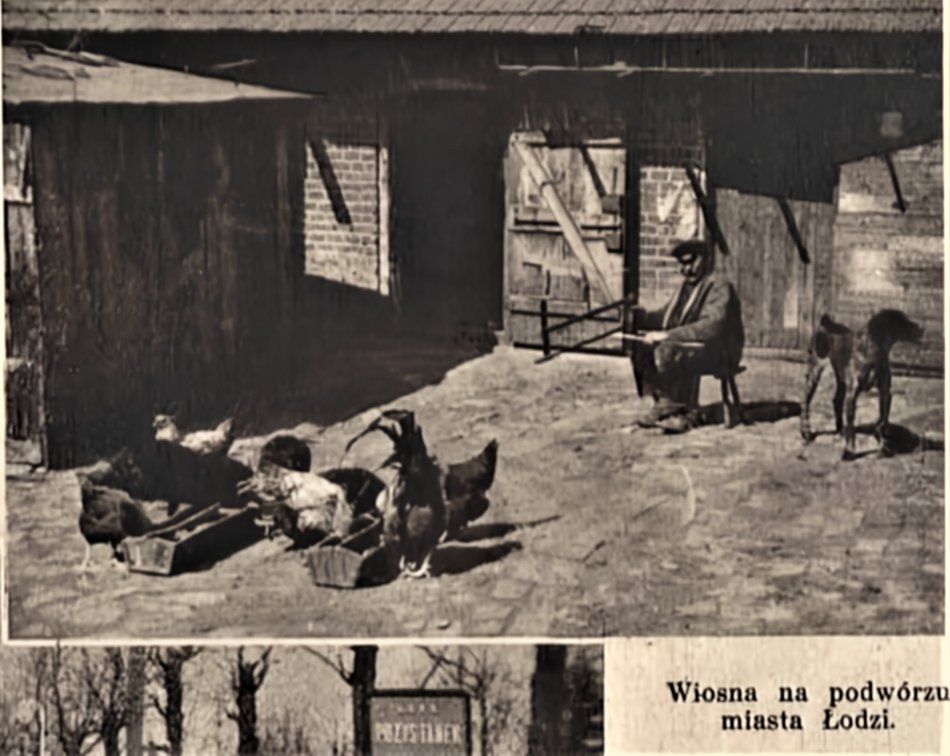 Porządek i czystość w XIX-wiecznej Łodzi. 160 lat temu wprowadzono pierwsze przepisy regulujące kwestie higieny