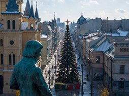 Wygraj licytację i odpal miejską choinkę! To już ostatnie dni aukcji, nie zwlekaj! 