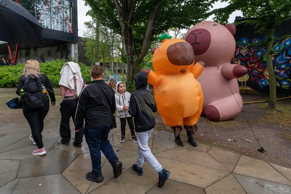 Łódź. Zlot Fanów Kapibary w Orientarium Zoo Łódź. Świetna frekwencja mimo niepogody