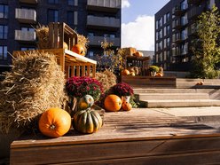 Łódź. Farma Dyń w Fuzji Łódź. Pozycja obowiązkowa na jesienną sesję fotograficzną! [ZDJĘCIA]
