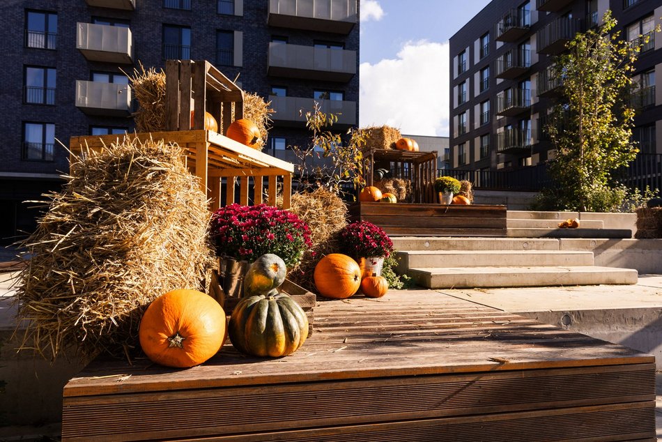 Łódź. Farma Dyń w Fuzji Łódź. Pozycja obowiązkowa na jesienną sesję fotograficzną! [ZDJĘCIA]