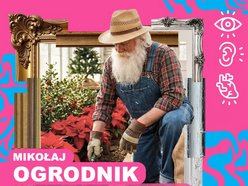 Łódź. Drzewa na Piotrkowskiej w Łodzi