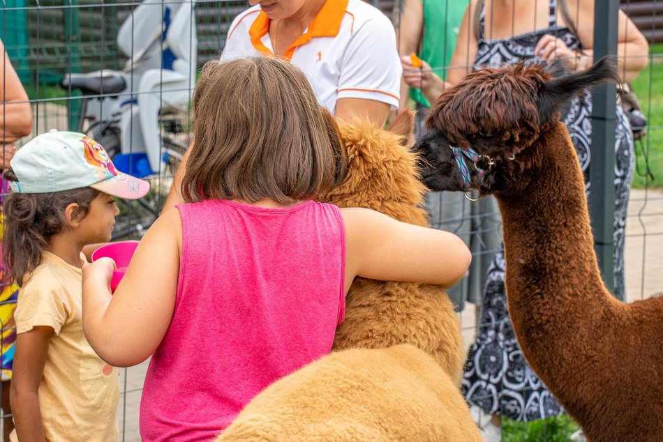 Piknik rodzinny na Stawach Jana