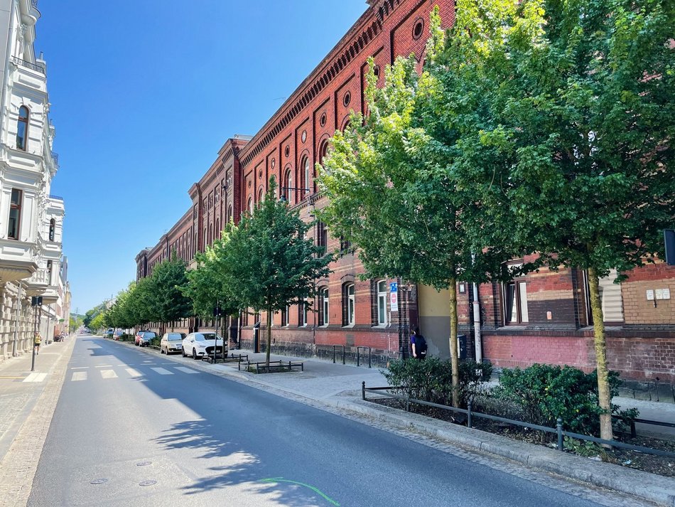 Drzewa przy ulicy w Łodzi - Tuwima