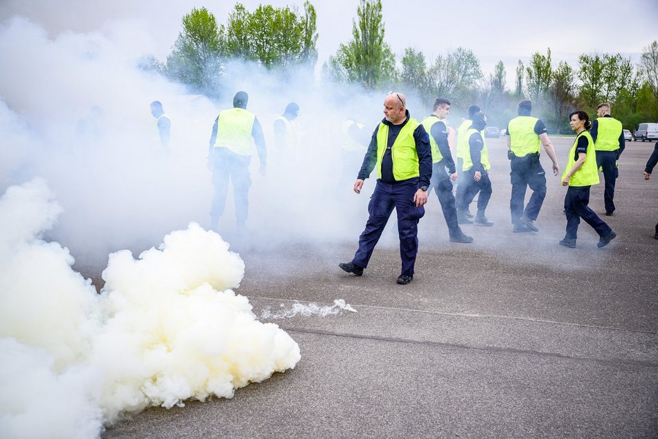 Łódź. Zwierzęta Straży Miejskiej na szkoleniu