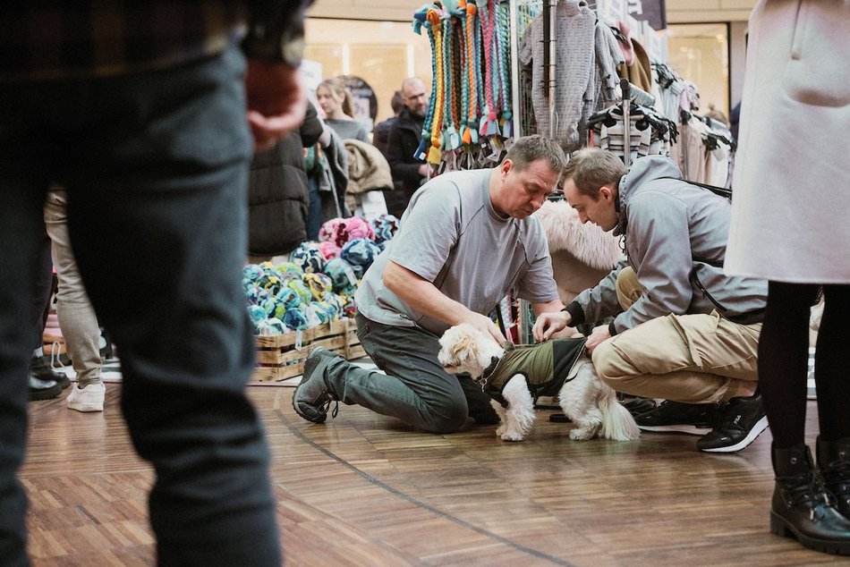 Łódź. Psi Targ w Manufakturze