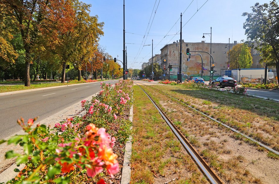 Coraz więcej zieleni w centrum Łodzi