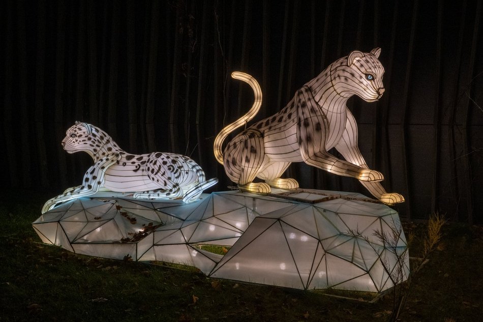 Park Miliona Świateł w Łodzi otwarty! Magiczne zwierzęta opanowały Orientarium Zoo Łódź