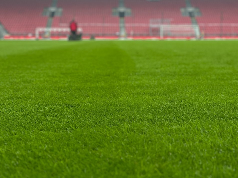 Łódź. Zima kontra murawa. Jak idą przygotowania do startu Ekstraklasy w Łodzi?