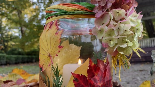 Jesienny lampion. Wybierz się na rodzinne warsztaty w Palmiarni w Łodzi