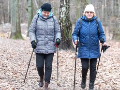 Łódź. Zimą warto się ruszać! Jakie formy ruchu są odpowiednie dla seniorów?