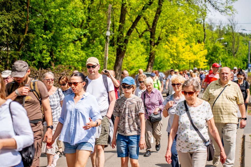 grupa ludzi spaceruje w naturze