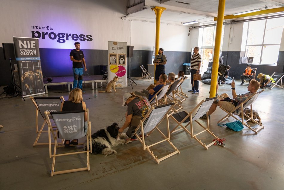 Łódź. Gastro dla schroniska w Łodzi. Tak się łączy miłość do jedzenia, muzyki i zwierząt!