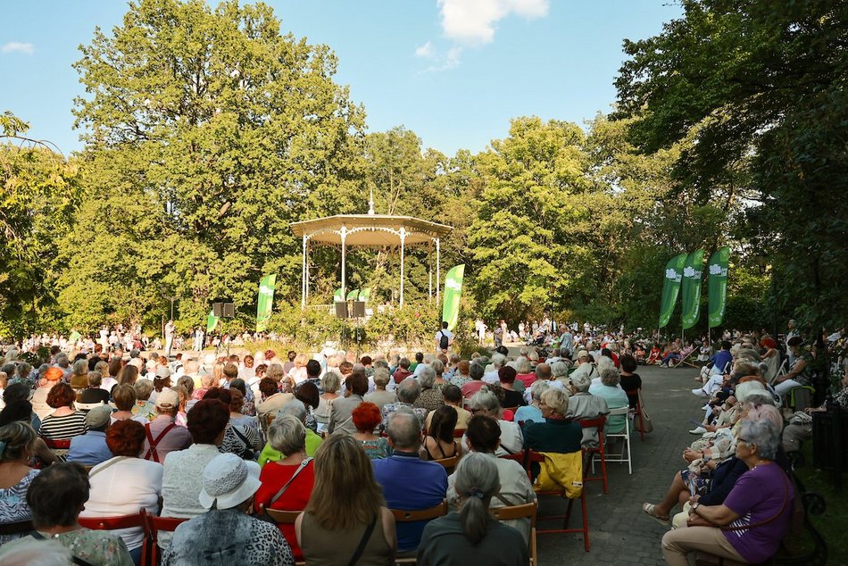 Łódź. Co robić w długi weekend w Łodzi? Kino pod chmurką, Rave for Dogs, Targ Staroci, wegański festiwal kulinarny