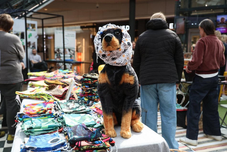 Łódź. Psi Targ w Manufakturze w Łodzi. Każdy miłośnik czworonogów znajdzie tu coś dla siebie