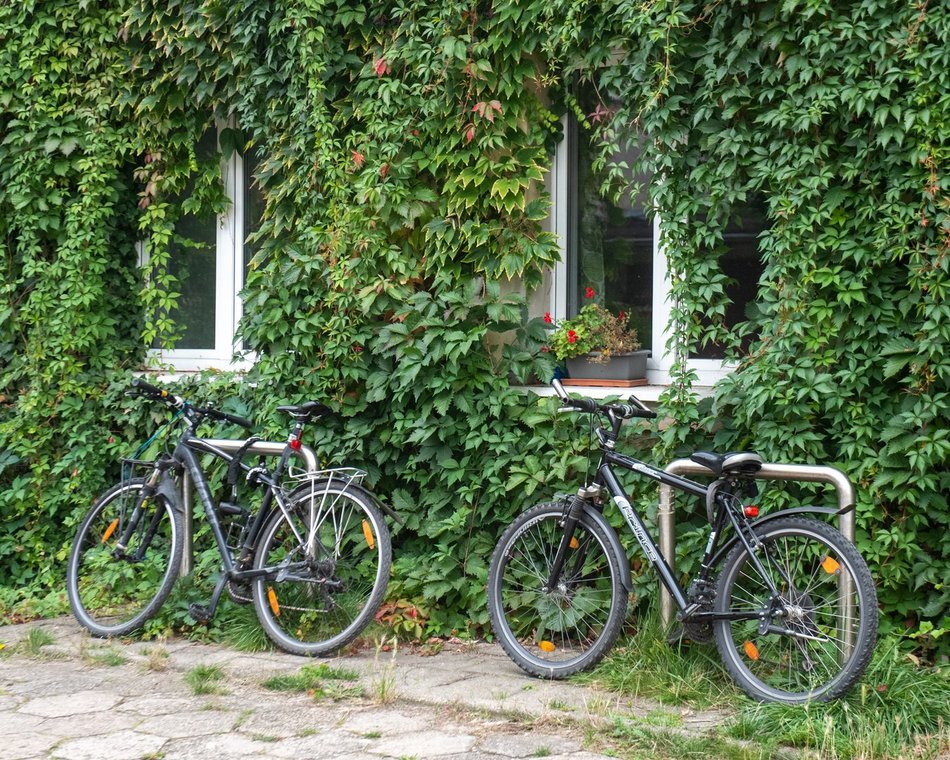 Łódź. Mikrogranty dla seniorów 2026 w Łodzi. Można już składać wnioski! [SZCZEGÓŁY]