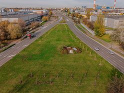 Łódź. Kolejne drzewa w centrum Łodzi!