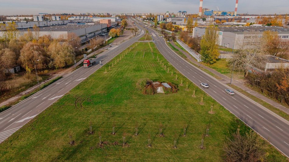 Łódź. Kolejne drzewa w centrum Łodzi!