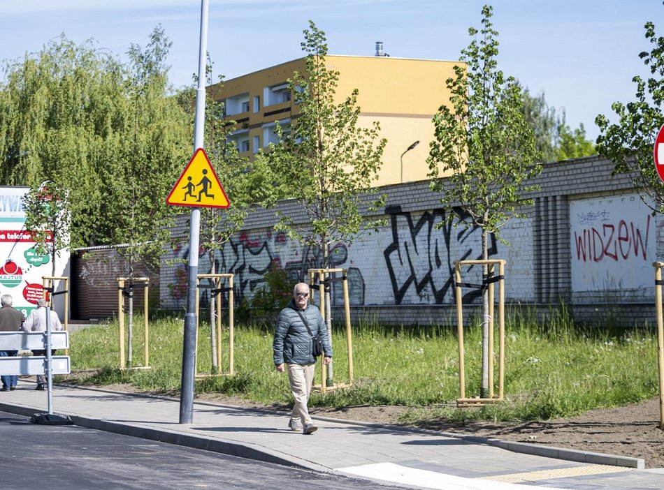 Nowe drzewa przy Kongresowej. Remont objął również nasadzenia zieleni