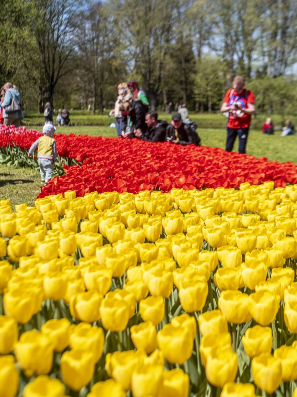 Ogród Botaniczny w Łodzi. Łodzianie na wyjątkowych zdjęciach z okazji 600. Urodzin! [ZDJĘCIA]
