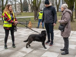 Schronisko w Łodzi z nowymi wolontariuszami