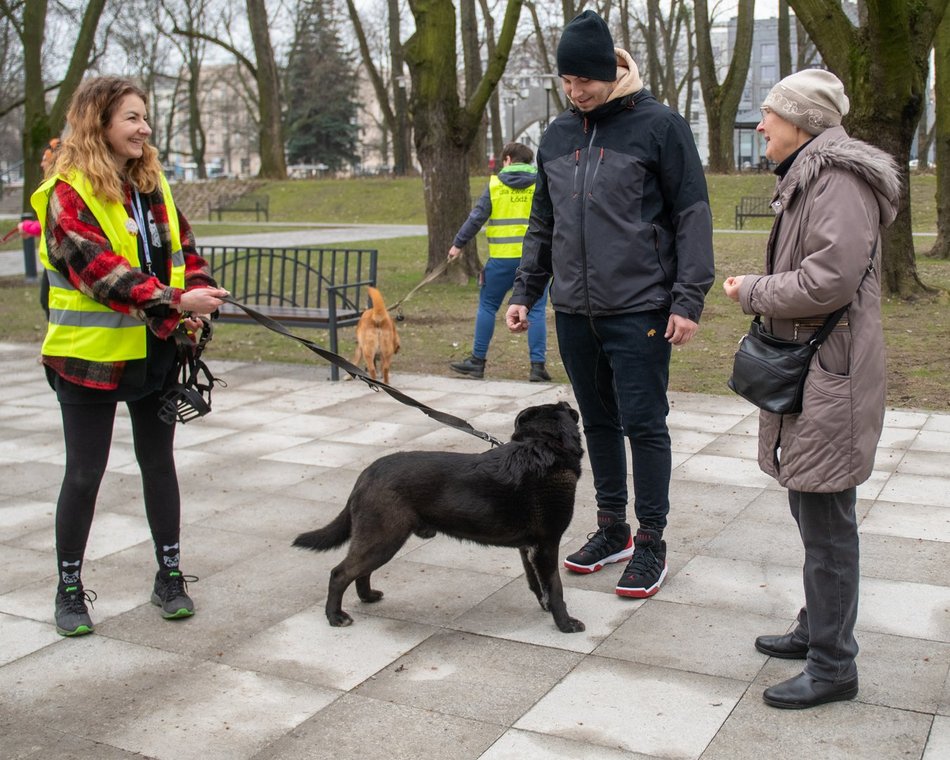 Schronisko w Łodzi z nowymi wolontariuszami