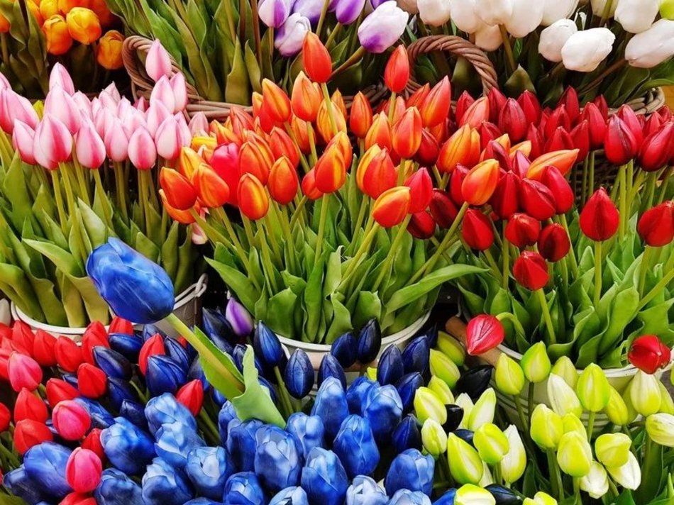 Łódź. Giełda Kwiatowa (ul. Równa 3/5)