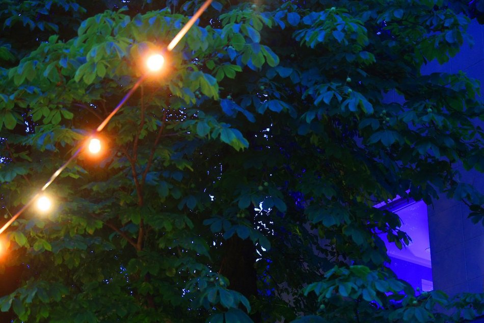 Łódź. Pasaż Róży w Łodzi cały na niebiesko! Łodzianie wspierają lot Sławosza Uznańskiego-Wiśniewskiego