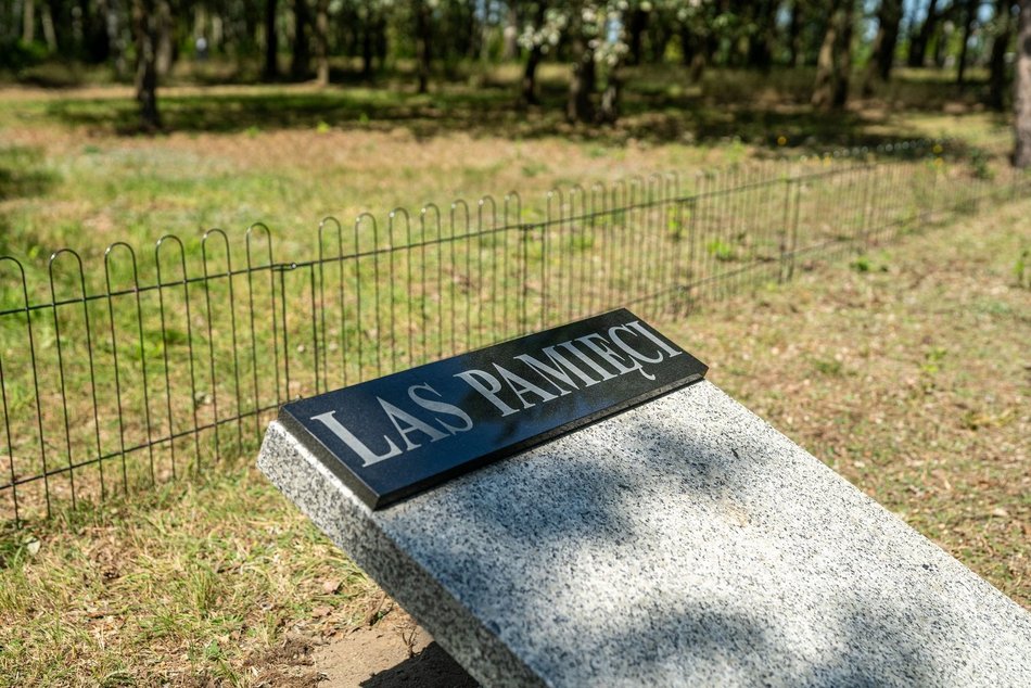 Las Pamięci i ekocmentarz w Łodzi