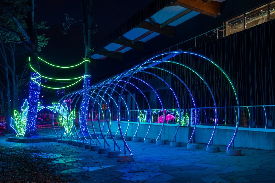 Park Miliona Świateł w Łodzi otwarty! Magiczne zwierzęta opanowały Orientarium Zoo Łódź