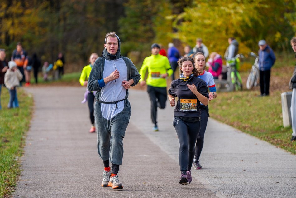 Łódź. Jesienny Festiwal Szakala w Łodzi. Brałeś/aś udział w biegu? Znajdź się na zdjęciach