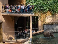 Orientarium Zoo Łódź z prestiżowym wyróżnieniem. Najlepszy Produkt Turystyczny 2024!