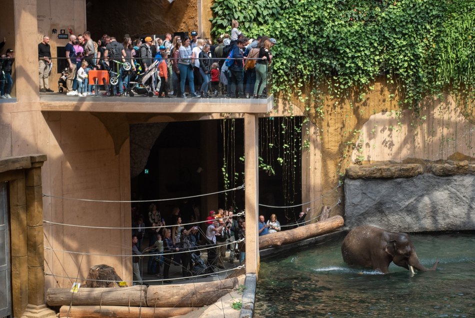 Orientarium Zoo Łódź z prestiżowym wyróżnieniem. Najlepszy Produkt Turystyczny 2024!