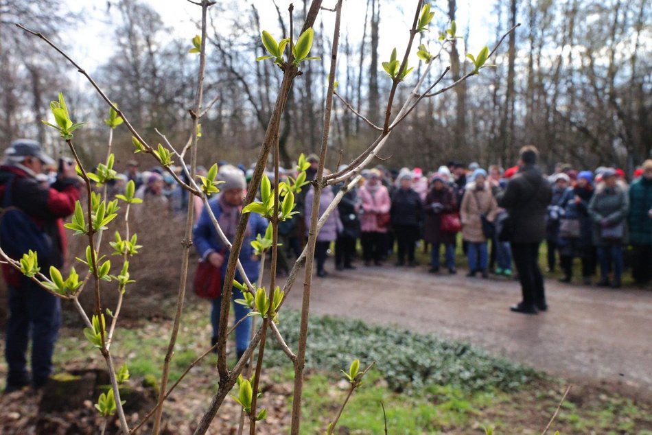 ogród botaniczny