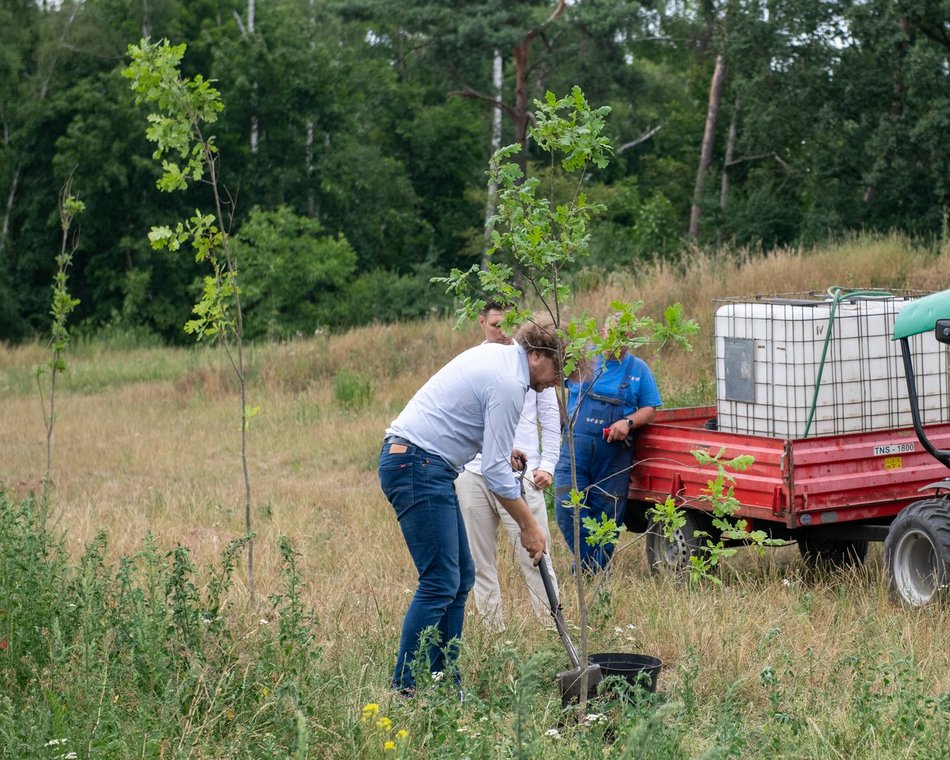 600 dębów na 600. Urodziny Łodzi