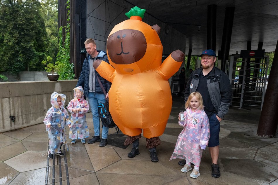 Łódź. Zlot Fanów Kapibary w Orientarium Zoo Łódź. Świetna frekwencja mimo niepogody
