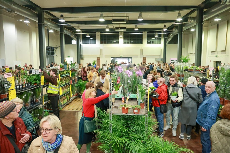 Що робити у вихідні в Лодзі? Концерт O.S.T.R., свято саун, прогулянка в Botaniku, Festiwal Roślin та багато іншого