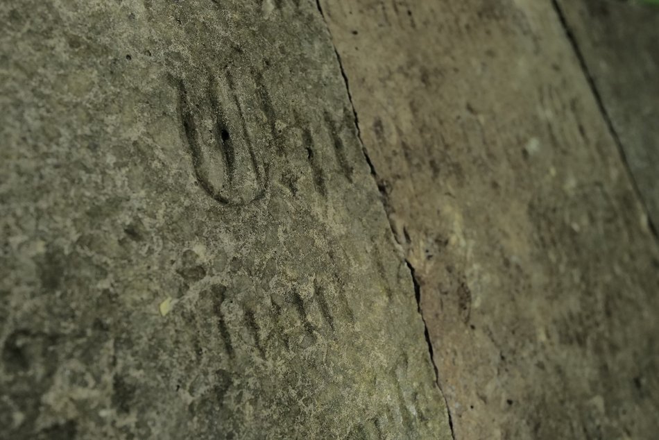 Łódź. Ludzkie kości i nagrobki w Parku Zbójnickim w Łodzi. Niezwykłe odkrycia archeologów z UŁ