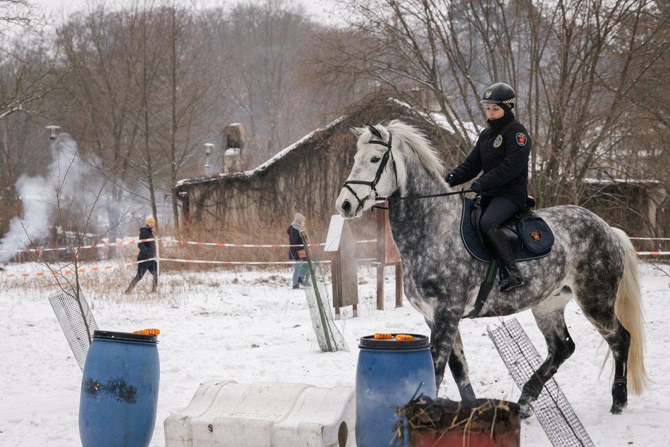 Łódź. Straż Miejska świętuje WOŚP 2026 w Łodzi! Jazda konna, gry i zabawy przy Wycieczkowej