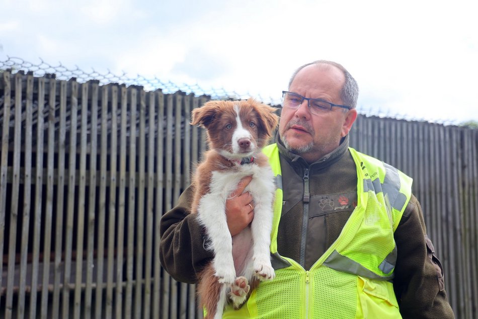 Uwierzysz, że to pracownicy lotniska w Łodzi? Psia ekipa z sokolnikiem Andrzejem Fijałkowskim na czele