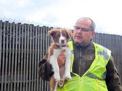 Uwierzysz, że to pracownicy lotniska w Łodzi? Psia ekipa z sokolnikiem Andrzejem Fijałkowskim na czele
