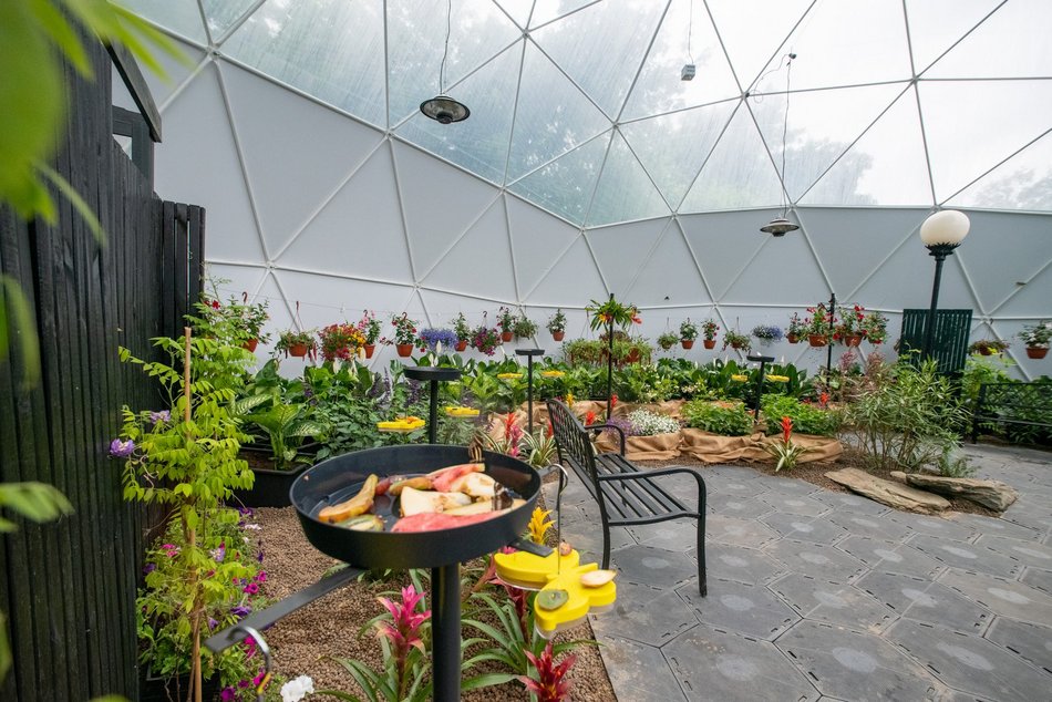 Motylarnia w Orientarium Zoo Łódź - motyle i odwiedzający w motylarni