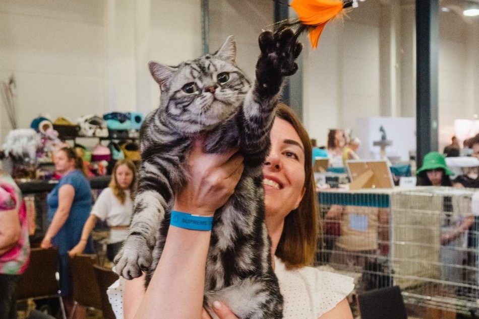 Łódź. Targi Pet Fair w hali Expo Łódź